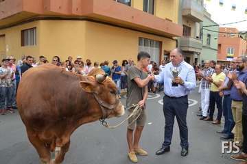 Misa, desfile del ganado y procesión religiosa en el Valle de los Nueve de Telde (Foto Francisco Javier Santana)